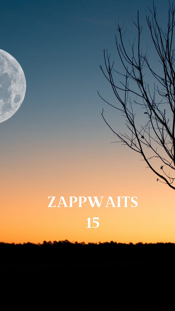 Zappwaits 15