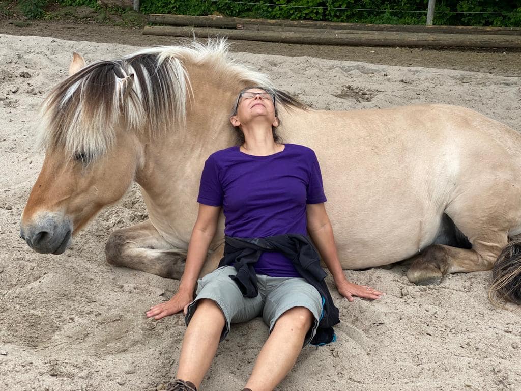 Pferd-Mensch-Energiearbeit