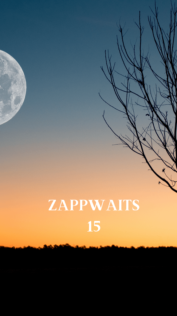 Zappwaits 15