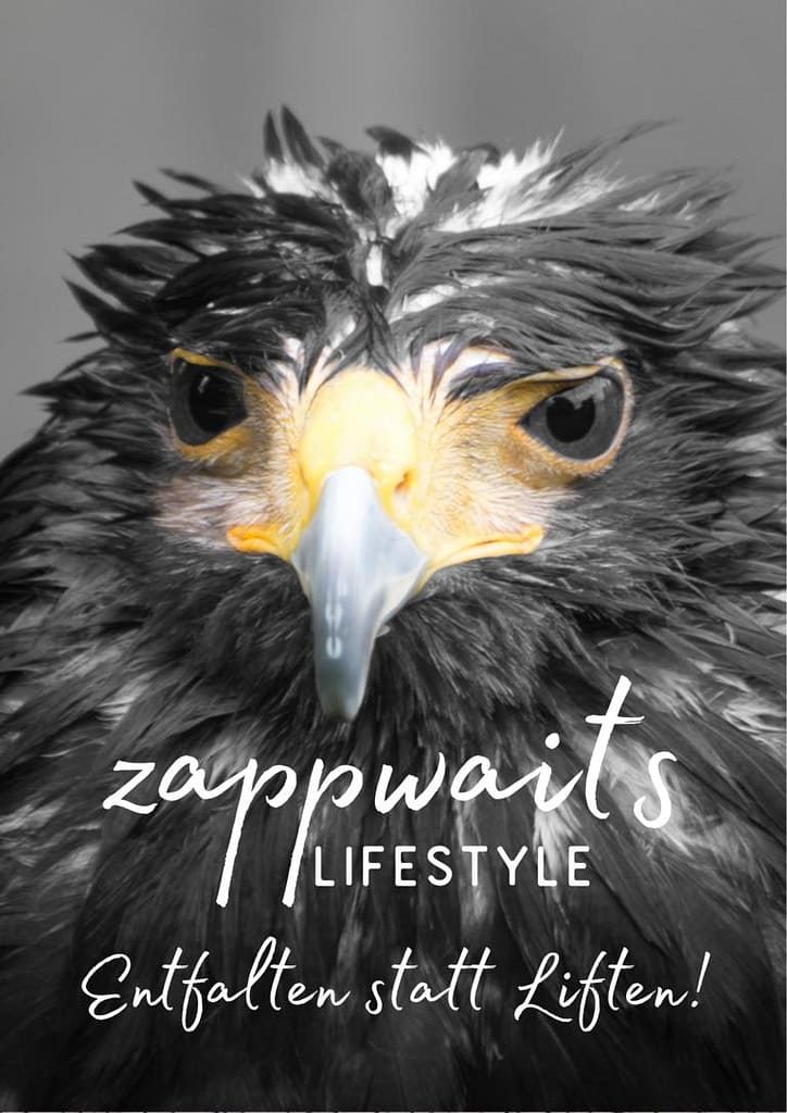 zappwaits katalog 3